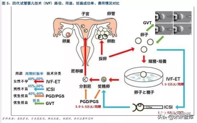 为什么试管婴儿医生在供卵试管婴儿中经常要求女性做B超检查
