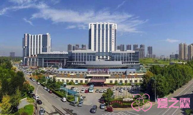 借卵试管婴儿期间我可以做什么运动？