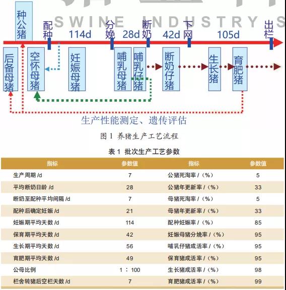杭州第三代供卵借卵做试管自怀哪家医院好