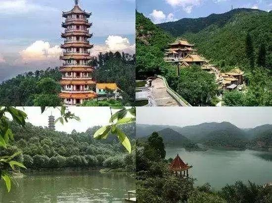 为什么三胎做供卵试管公立不用等怀孕后需要做羊膜穿刺？专家说这是一个双重保险