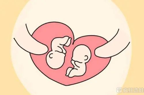 上海妇幼供卵试管婴儿成功率多少