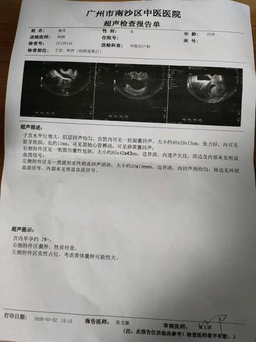 借卵试管移植生化