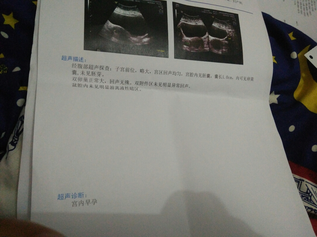 借卵试管移植生化