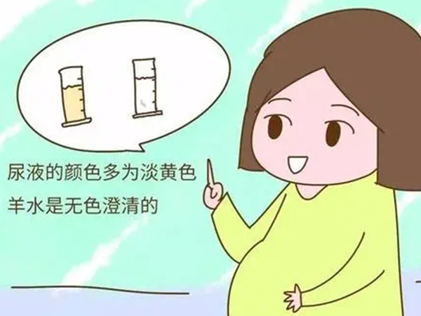 试管婴儿二代优孕行i简介